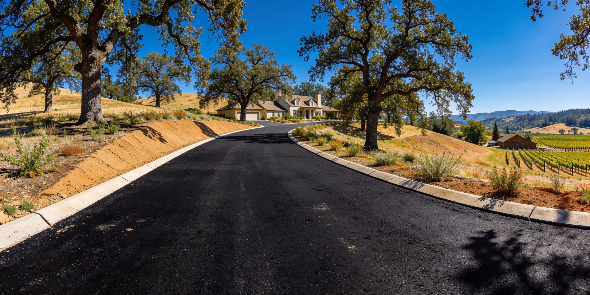 Wide asphalt driveway lined with oak trees, paved by North Bay Grading and Paving